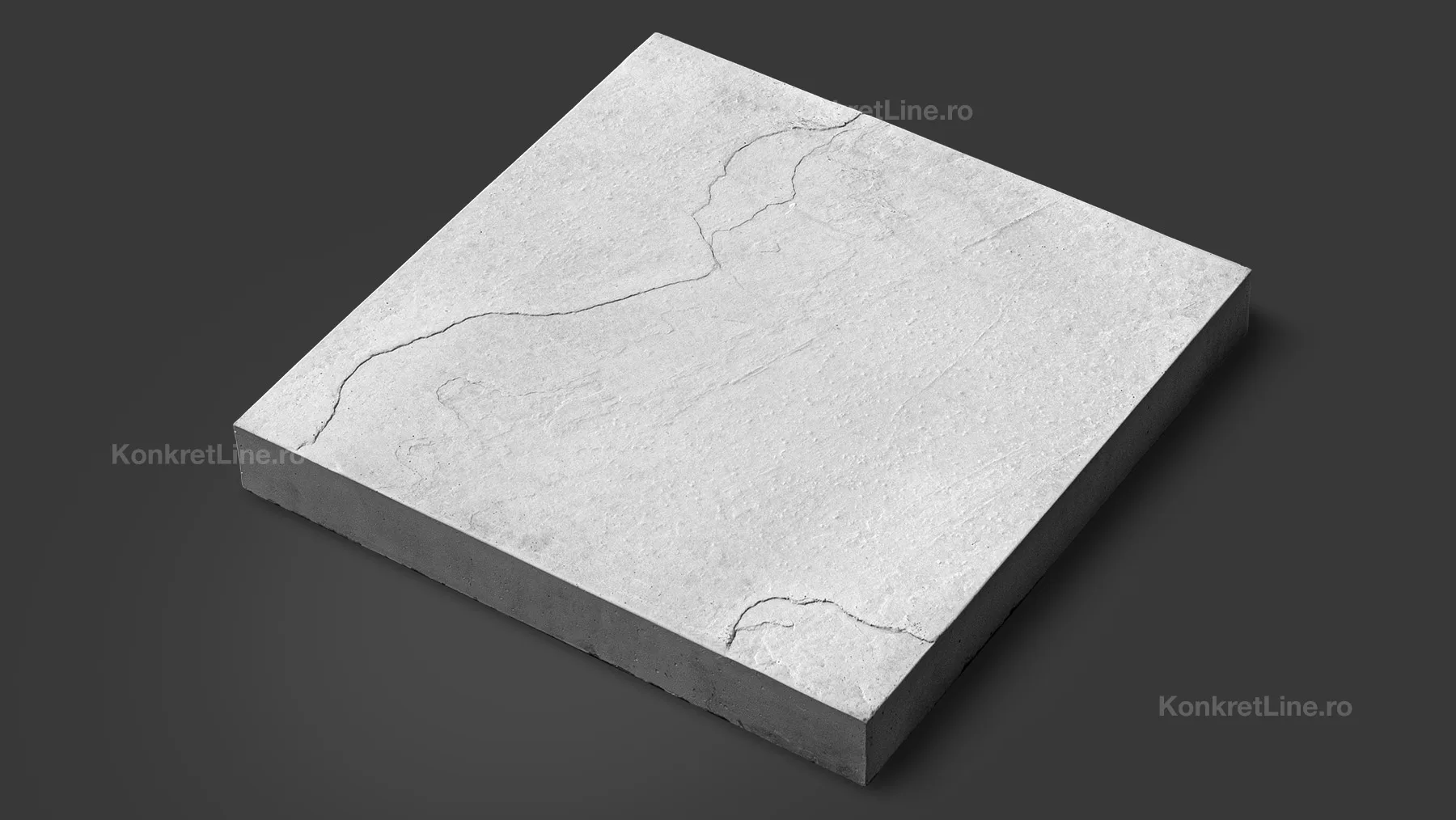 Pavaje prefabricate din beton — 11